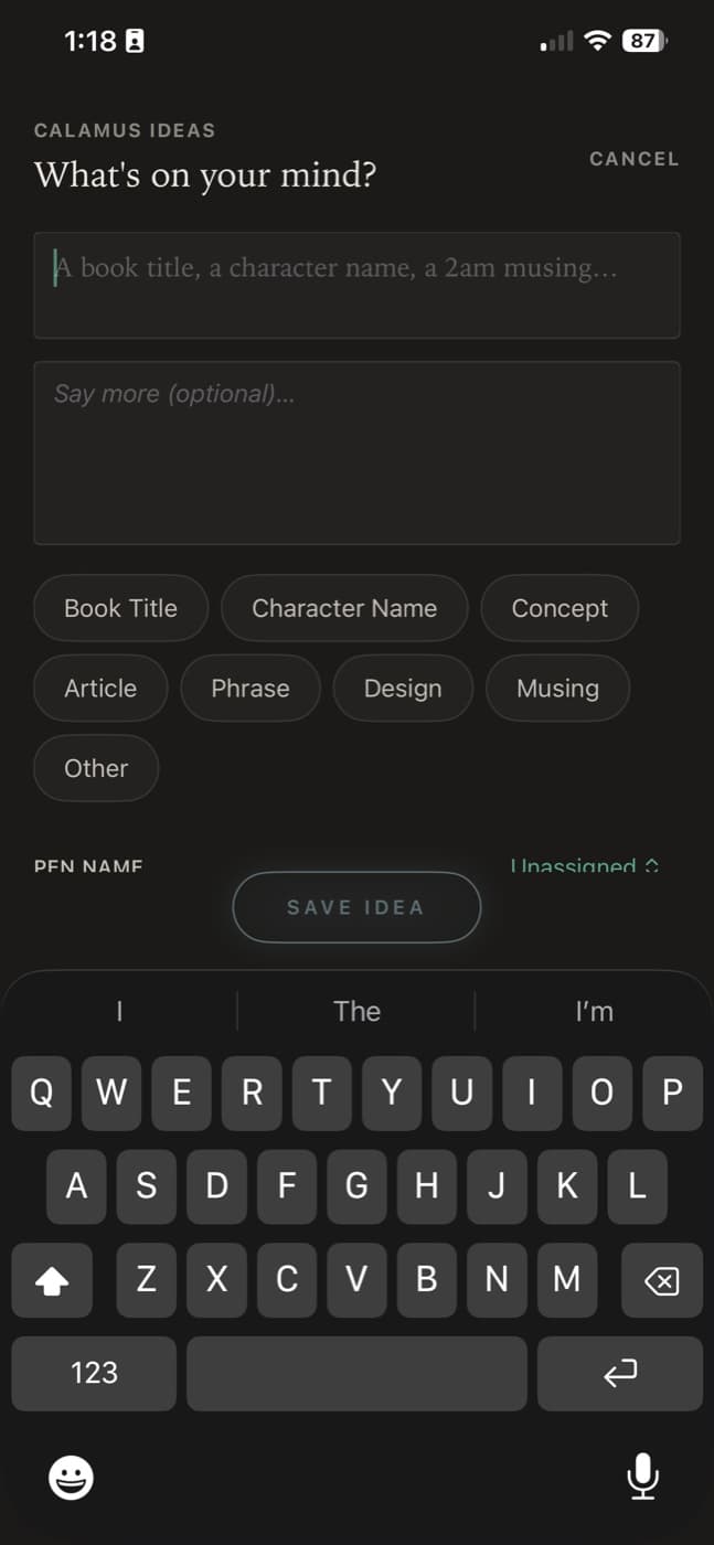 Capturing a note in Calamus Ideas on an iPhone: a single writing field above a row of category chips and a Save button